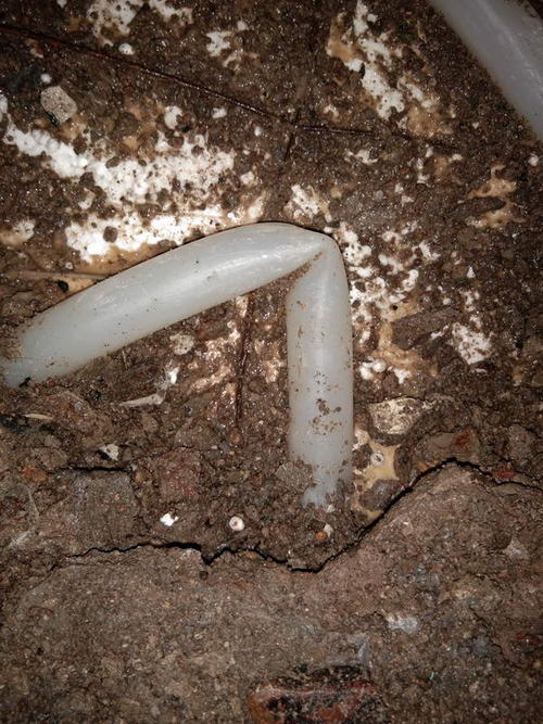 诏安堵点精准查找